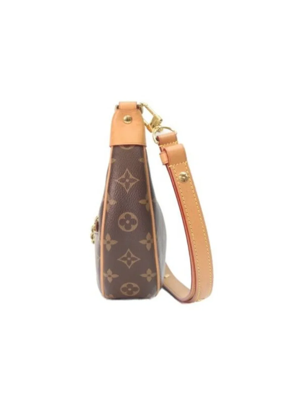 Louis Vuitton Monogram Loop Shoulder Bag
